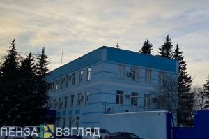 В Пензенской области выросло число расследованных тяжких и особо тяжких преступлений