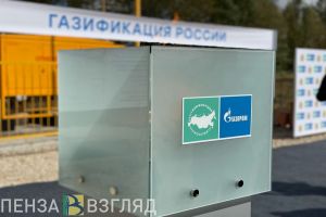 Пензенская область получит дополнительно 4,5 миллиона рублей на социальную газификацию