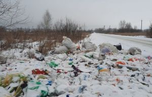 Сотрудники пензенского Минлесхоза обнаружили в Спасске несанкционированную свалку