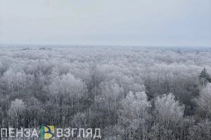 В Пензенской области в понедельник температура воздуха упадет до -16 градусов