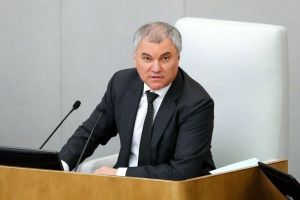 Декларации о доходах депутатов и сенаторов опубликуют в обезличенном виде