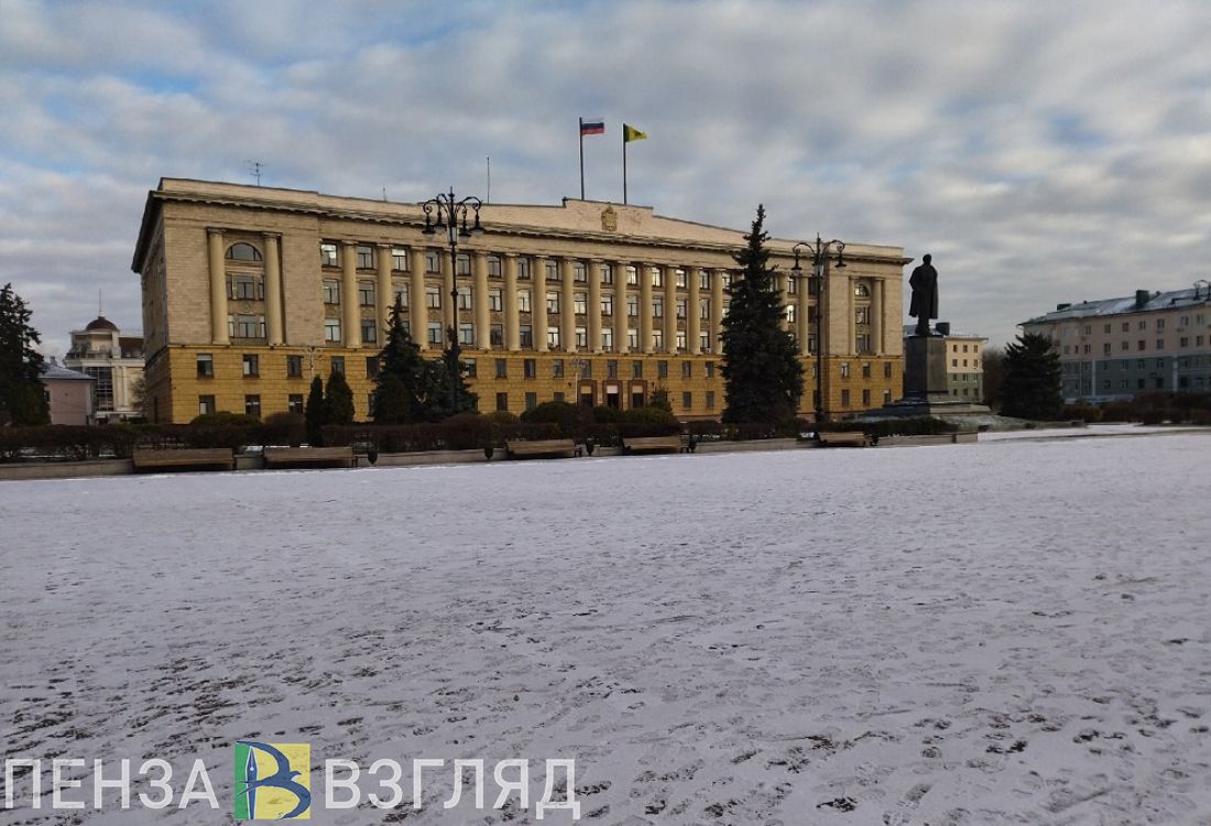 В Пензенской области планируется создать Стратегический совет