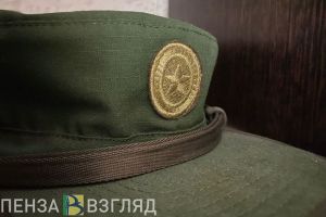 Пензенцы узнали об одобрении законопроекта по мерам соцподдержки супругов погибших военнослужащих