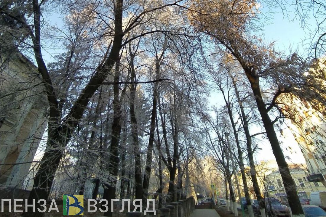 В субботу в Пензенской области может ударить 15-градусный мороз