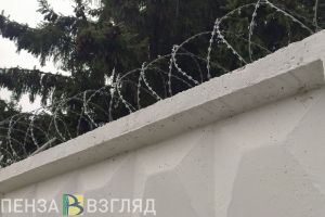 Гаврилин рассказал о росте преступлений экономической направленности в Пензенской области