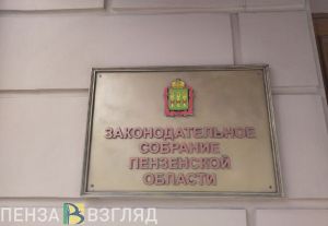 Депутаты Заксобра проголосовали за создание Стратегического совета Пензенской области