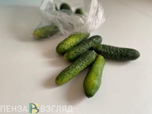 Пензенцы узнали о подорожании огурцов на 45%