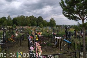 Пензенские власти подумают, как снизить смертность в регионе