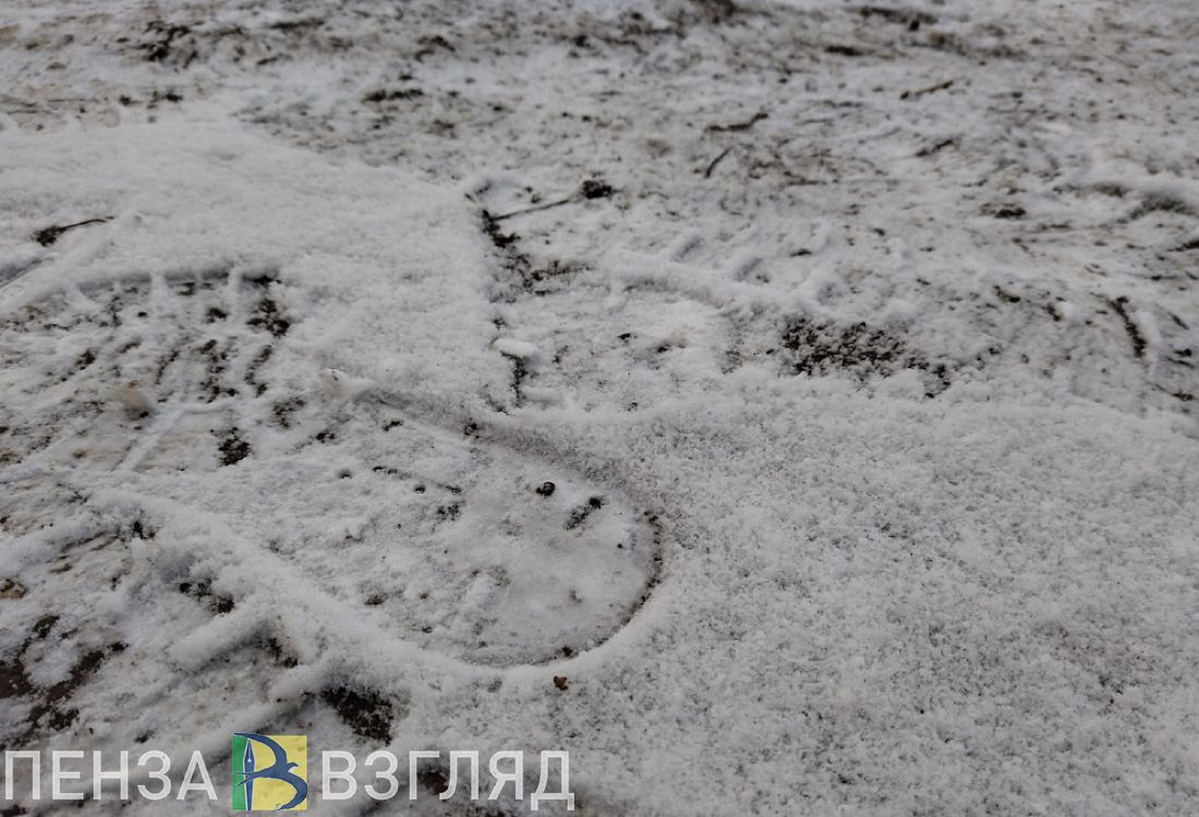 Пензенец сообщил о машине, сливающей по ночам нечистоты на ул. Беляева