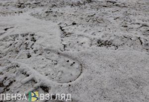 Пензенец сообщил о машине, сливающей по ночам нечистоты на ул. Беляева