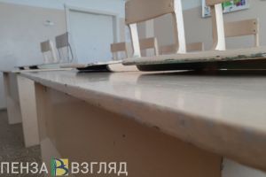 В пензенские школы вернут трудовое воспитание