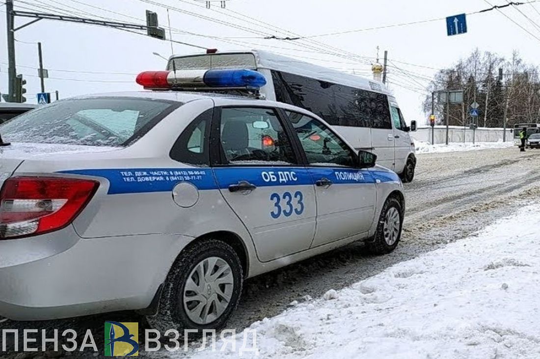 Житель Пензенской области дрался, чтобы не ехать в полицию