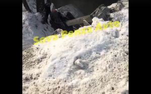 В Пензенской области автомобиль слетел с моста