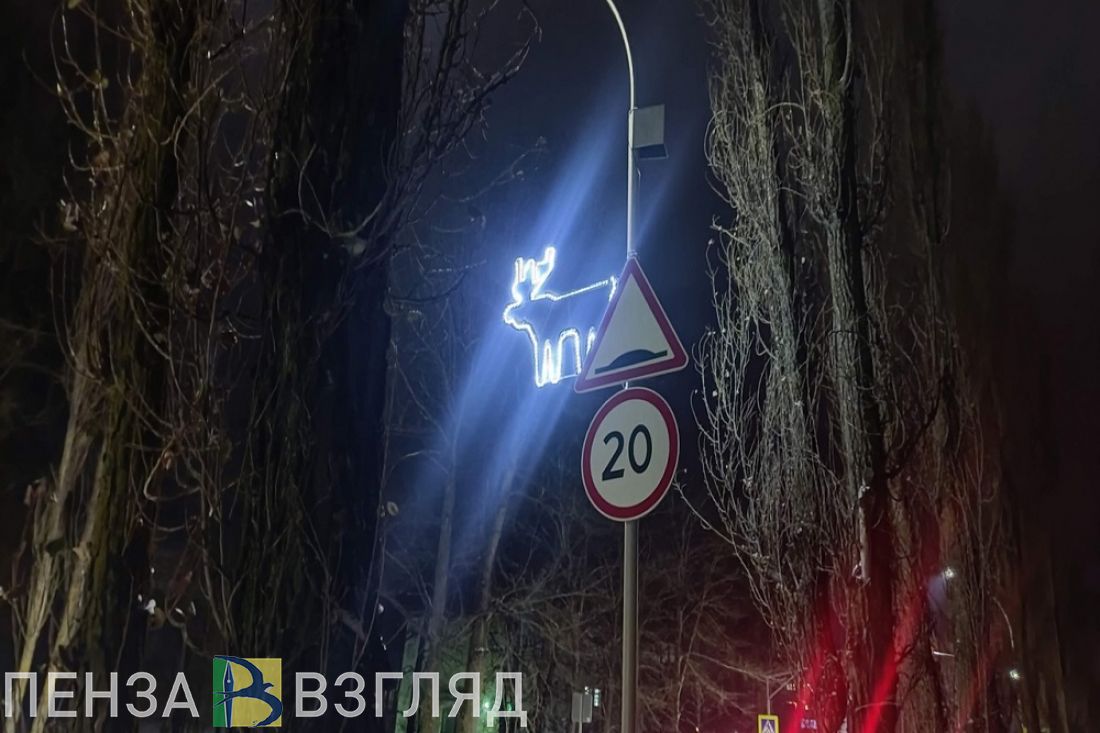 На освещение улицы Индустриальной в Заречном потратят 1 млн 650 тысяч рублей