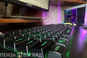 Депутаты пензенской Гордумы узнали, как идет борьба с подпольными казино