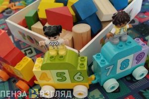 Пензенские полицейские раскрыли серию краж детских игрушек