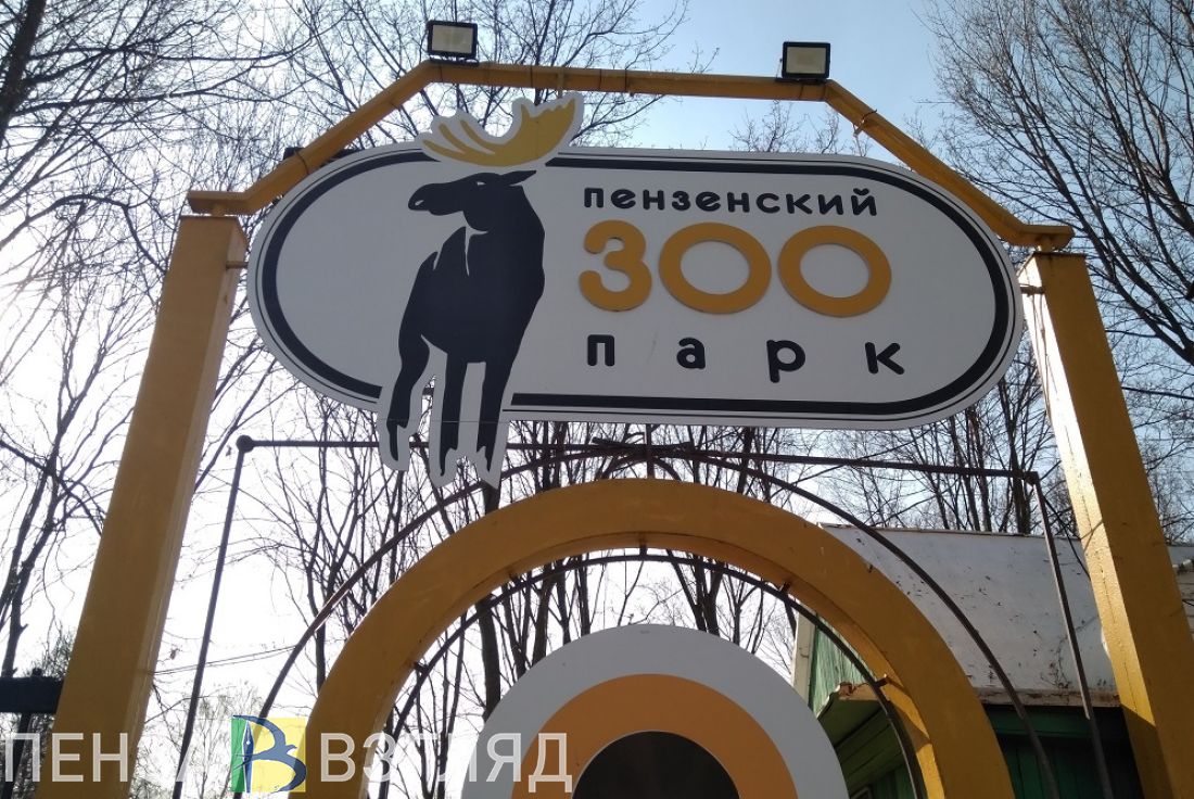 Изменился режим работы Пензенского зоопарка