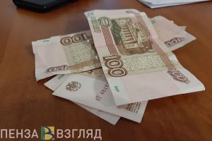 В Кузнецком районе женщина не постеснялась обокрасть спящего родственника