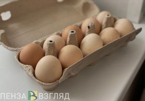 УФАС разобралось в требовании пензенской психиатрической больницы о дезинфекции скорлупы