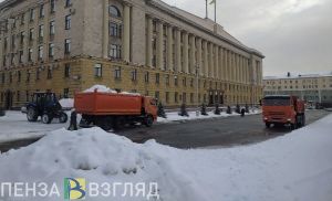 После жалоб от жителей в Пензенской области устранили последствия снегопада