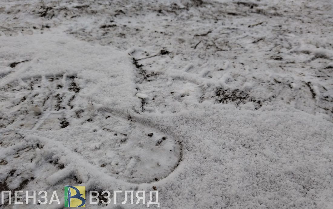 Ночью в Пензенской области ожидаются 20-градусные морозы