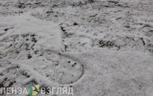 Ночью в Пензенской области ожидаются 20-градусные морозы