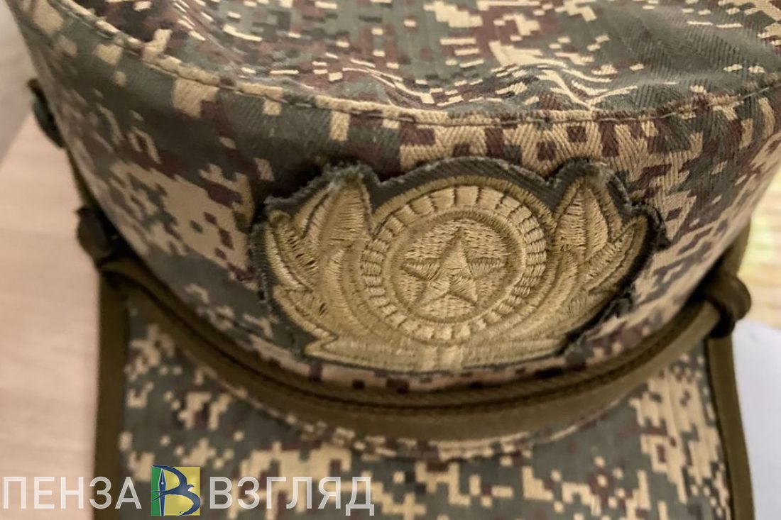 За пензенскими ветеранами боевых действий и их семьями закрепят соцработников