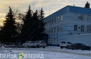 Пензенец убил знакомого прямо у него дома