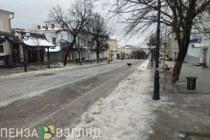 Басенко раскритиковал уборку снега у пензенских торговых центров