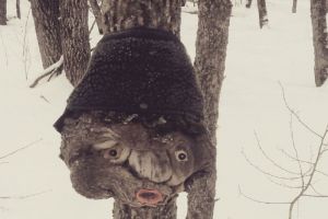 Пензенец устроил фотосессию антропоморфному наросту на дереве