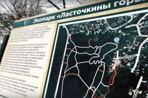 Мельниченко заявил о главном принципе благоустройства пензенского экопарка «Ласточкины горы»