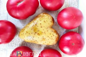 Пензенская полиция вычислила фальшивую «жрицу любви», которая развела на деньги пожилого сельчанина