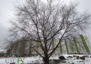 В начале марта Пензенская область окажется под влиянием циклона