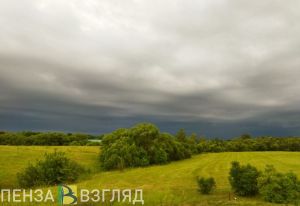 В Пензе Бурчихинским склонам присвоили статус памятника природы регионального значения