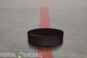 Пензенский Минспорт рассказал о льготах для юных болельщиков