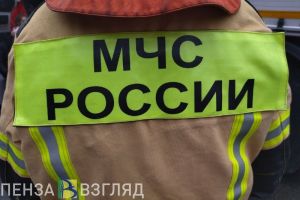 Пензенцев предупредили о мошенниках, действующих под видом сотрудников МЧС