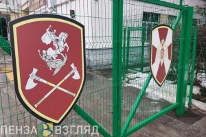 В Пензе росгвардейцы задержали мужчину, устроившего драку