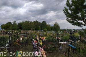 В Пензенской области за 2022 год умерло на 11 245 человек больше, чем родилось
