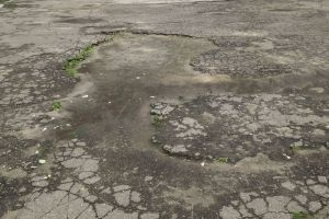 В Пензе ищут инвесторов для ремонта дорожек в парке «Комсомольский»