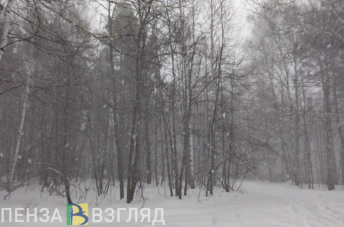 Пензенская область с 8 марта окажется под влиянием циклона