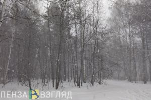 Пензенская область с 8 марта окажется под влиянием циклона