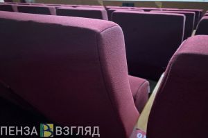 Пензячка не попала на музыкальный концерт из-за мошенника