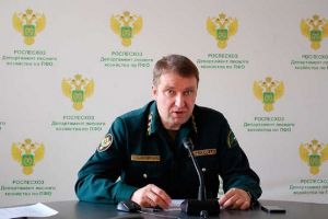 В Пензенской области обсудили подготовку к пожароопасному сезону
