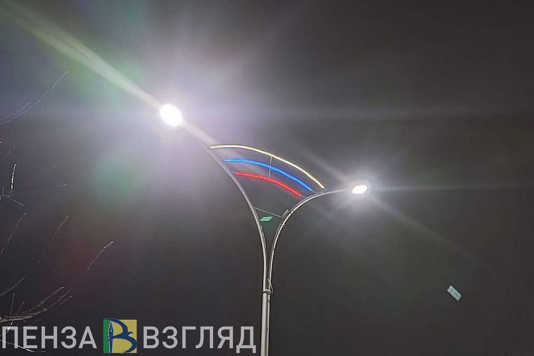 В райцентре Пензенской области пообещали заняться модернизацией уличного освещения
