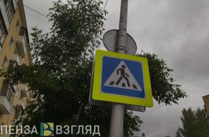 В пензенском селе внедорожник сбил пожилую женщину