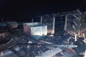 В селе Каменского района 5 человек тушили пожар