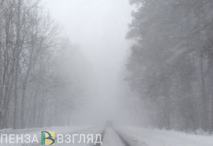В Пензенской области оштрафовали директора организации, которая зимой не чистила дороги