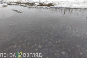 Жителям Пензенской области рассказали, куда обращаться при угрозе паводка