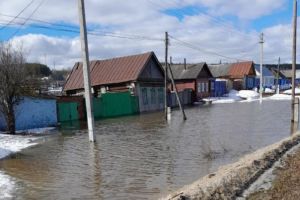 В селе Архангельское Пензенской области спасатели откачали воду