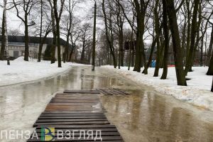 Жителям Каменского района заявили, что ситуация с паводком здесь не критична